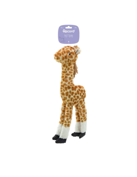 Record Gioco Plushy Giraffa . Giochi per Cani