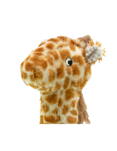 Record Gioco Plushy Giraffa . Giochi per Cani
