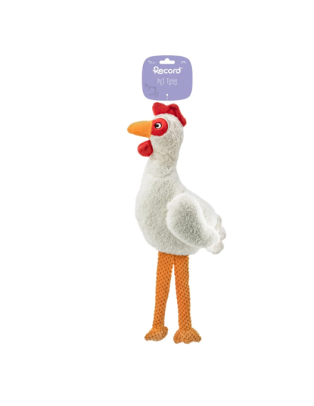 Record Gioco Plushy Gallina . Giochi per Cani