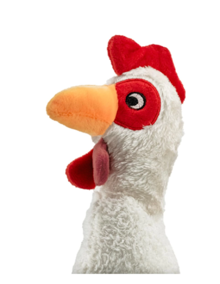 Record Gioco Plushy Gallina . Giochi per Cani