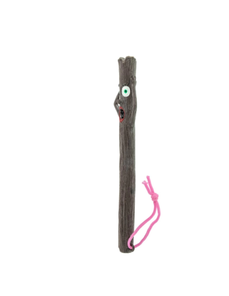 Record Gioco Woodies Bastoncino Sara . 29 cm. Giochi Per Cani