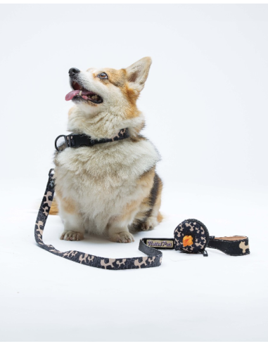 Dispenser Complete Me Portasacchetti Nero Beige . Accessori per cani.