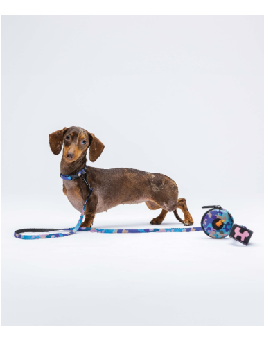 Dispenser Complete Me Portasacchetti Viola Vintage . Accessori per cani