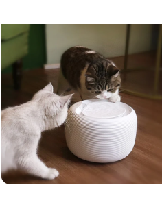 Sunny Bowl fontanella 2,5 litri. Ciotole per cani