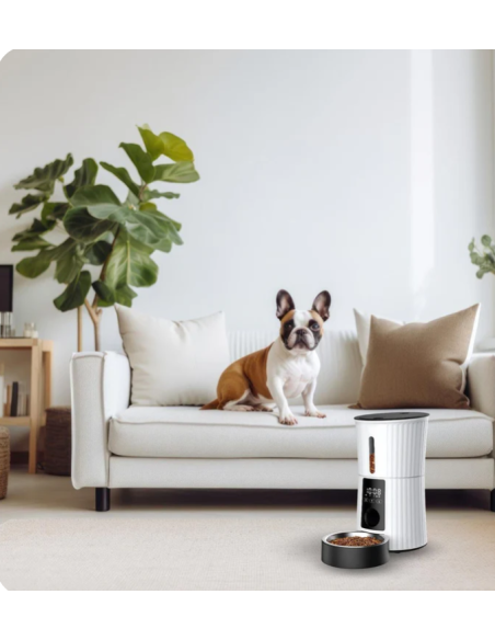 Sunny Feed Distributore Cibo 4 litri Verde . Ciotole automatiche per cani