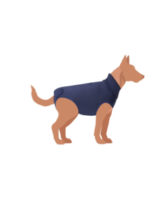 Tutina Post operatoria taglia 30 blu. Accessori medicali per cani 2