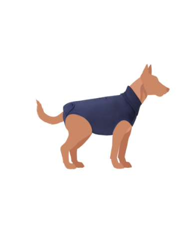 Tutina Post operatoria taglia 30 blu. Accessori medicali per cani