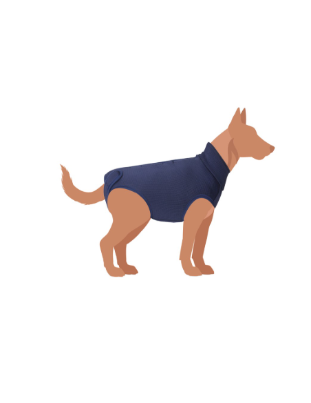 Tutina Post operatoria taglia 30 blu. Accessori medicali per cani