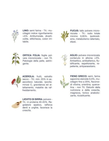 Vet Line Accrescimento Bufalo kg.3.Puppy.