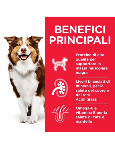 Hill's Canine Mature Senior Lamb and Rice kg 14. Crocchette per cani