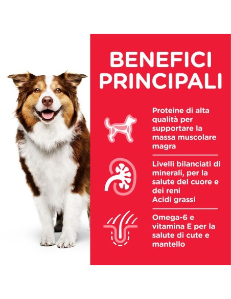 Hill's Canine Mature Senior Lamb and Rice kg 14. Crocchette per cani