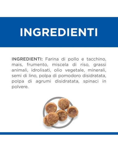 Hill's Canine Adult Small and Miniature kg 1,5 pollo. Crocchette per cani.