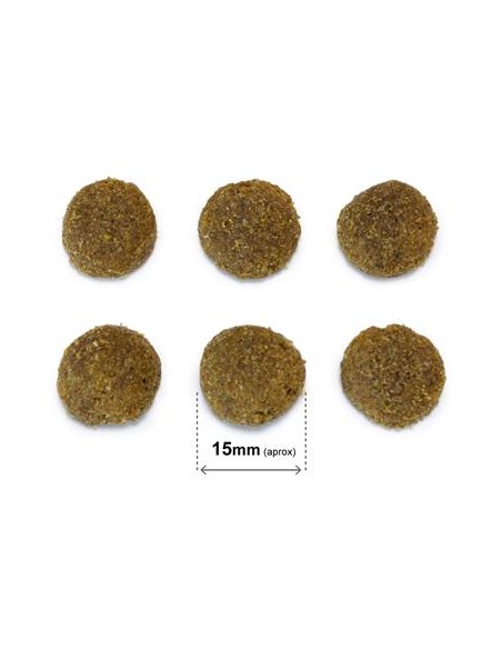 Arquivet Dog Original Adult Maiale Iberico kg 3. Crocchette per cani