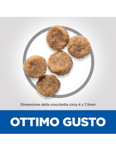 Hill's Canine Mature small and miniature  gr 300. Crocchette per cani