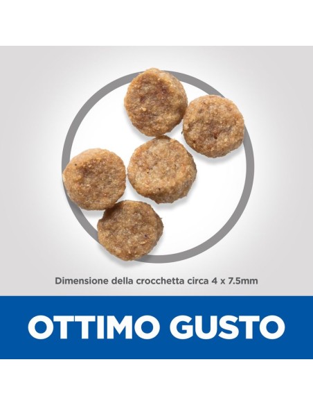 Hill's Canine Mature small and miniature  gr 300. Crocchette per cani