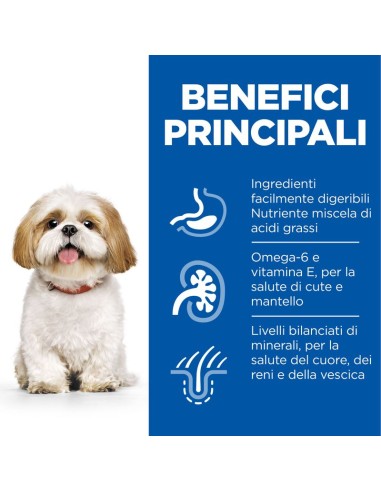 Hill's Canine Mature small and miniature  gr 300. Crocchette per cani