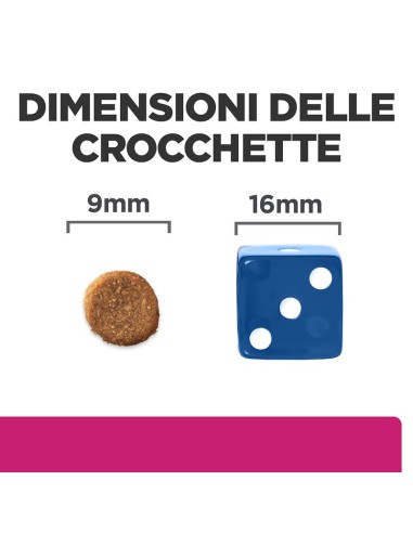 Hill's Feline Gastrointestinal Biome  gr 300. Diete . Cibo Secco Per Gatti