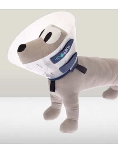 Collare Post Operatorio Xlarge cm 30. Accessori Medicali per cani.