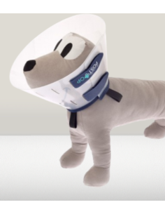 Collare Post Operatorio Op Misura Large cm 25. Accessori Medicali per cani. 2