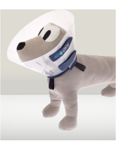 Collare Post Operatorio Op Misura Large cm 25. Accessori Medicali per cani.