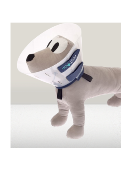 Collare Post Operatorio Op Misura Large cm 25. Accessori Medicali per cani.