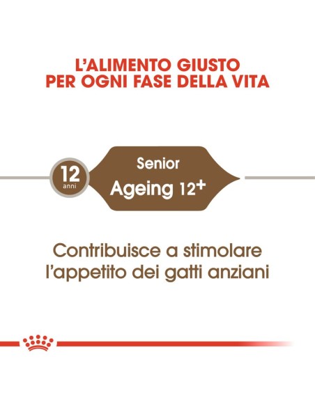 Royal Canin Senior Ageing +12 kg 2. Cibo Secco Per Gatti