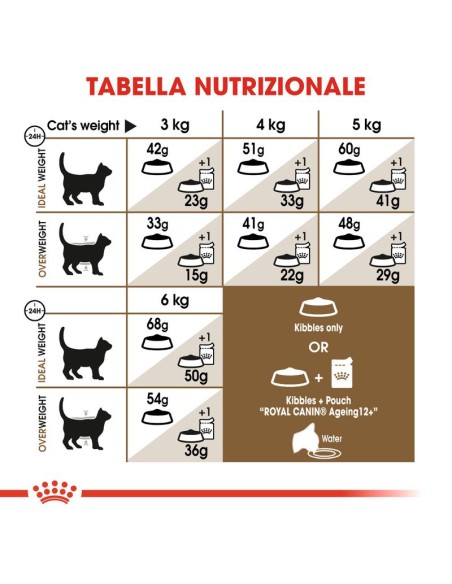 Royal Canin Senior Ageing +12 kg 2. Cibo Secco Per Gatti