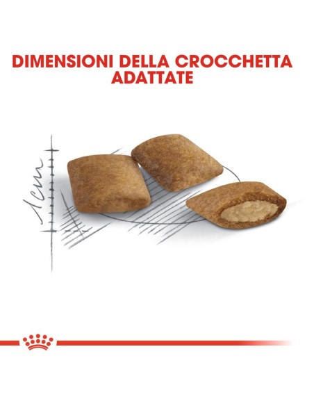 Royal Canin Senior Ageing +12 kg 2. Cibo Secco Per Gatti