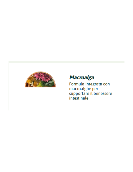 Natural Trainer Dog Medium Pollo Maturity kg 3. Crocchette per cani