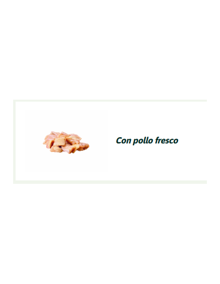 Natural Trainer Dog Medium Pollo Maturity kg 3. Crocchette per cani