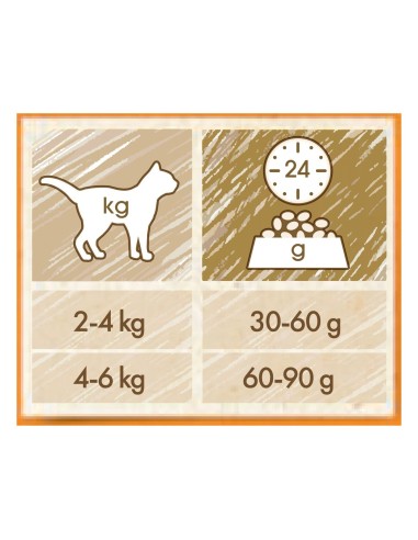 Purina Cat Chow Adult Pollo kg 1,5. Cibo Secco Per Gatti