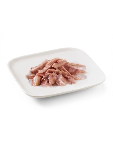 Schesir Dog Tonnetto Gr 150. Cibo Umido Per Cani
