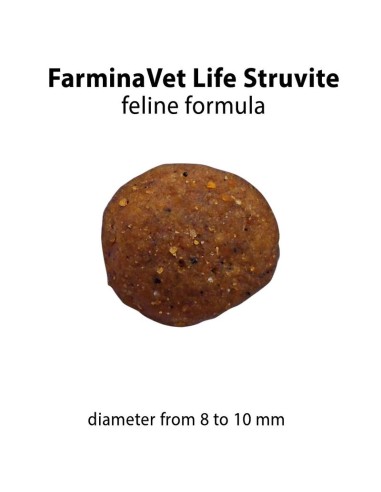 Vet Life Cat Struvite Management KG.2 Cibo Secco per Gatti Farmina