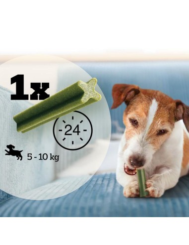 Pedigree Dentastix Fresh Small gr 110. Snack per cani.