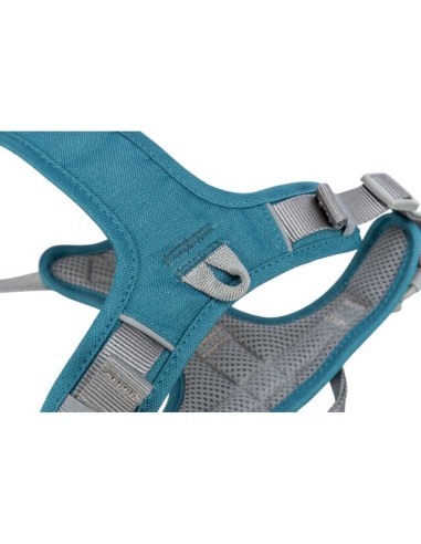 Pettorina Premium Active misura small-medium 39-56 cm /15 mm . Petrolio. Guinzagli e Collari per cani.