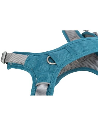 Pettorina Premium Active misura small-medium 39-56 cm /15 mm . Petrolio. Guinzagli e Collari per cani.