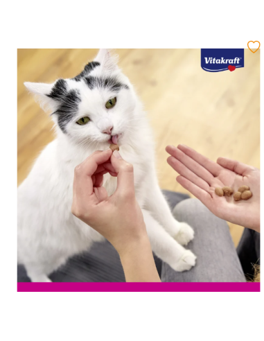 Vitakraft cat snack triggles tacchino gr.40.Snack per gatti