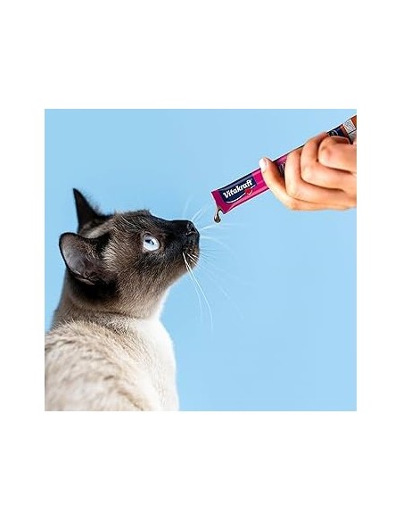 Vitakraft cat liquid snack multipack 16 x 15gr (pollo e manzo). Snack per gatti