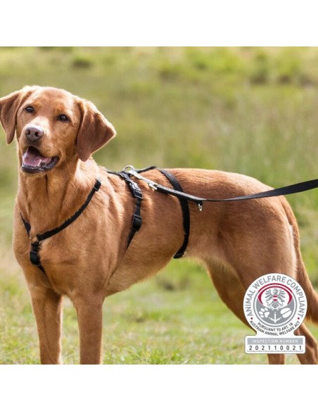 Pettorina Antipanico Stay Taglia medium-large . Collari e Guinzagli per cani