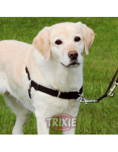 Easy Walk Pettorina Addestramento misura large -ex large . Collari e Guinzagli per cani A