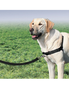 Easy Walk Pettorina Addestramento misura large -ex large . Collari e Guinzagli per cani A 2