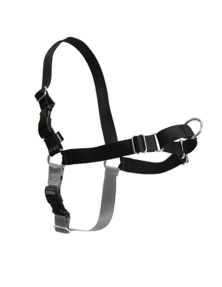 Easy Walk Pettorina Addestramento misura large -ex large . Collari e Guinzagli per cani A