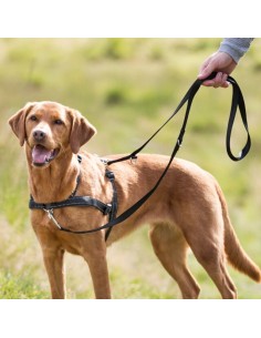 Pettorina Lead and walk soft misura small medium . Collari e Guinzagli per cani .