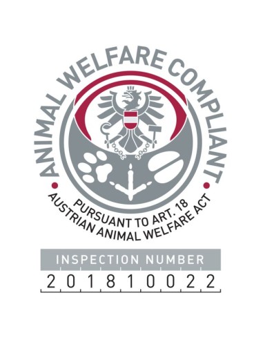 Pettorina Lead and Walk soft Misura large - xlarge . Collari e Guinzagli per cani.