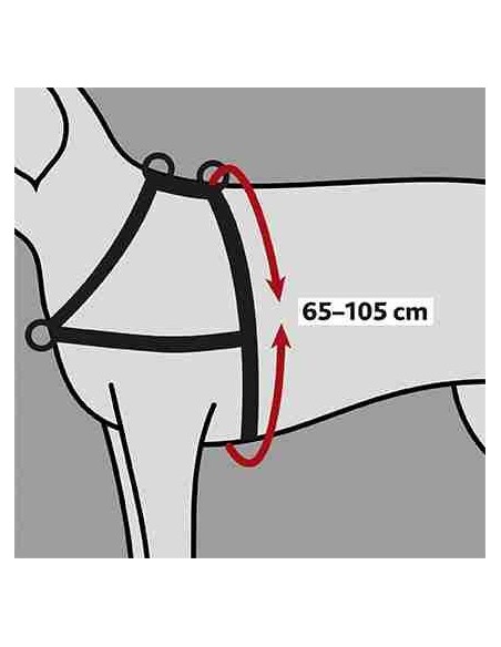 Pettorina Lead and Walk soft Misura large - xlarge . Collari e Guinzagli per cani.