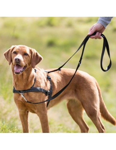 Pettorina Lead and Walk soft Misura medium -large  . Collari e Guinzagli per cani.