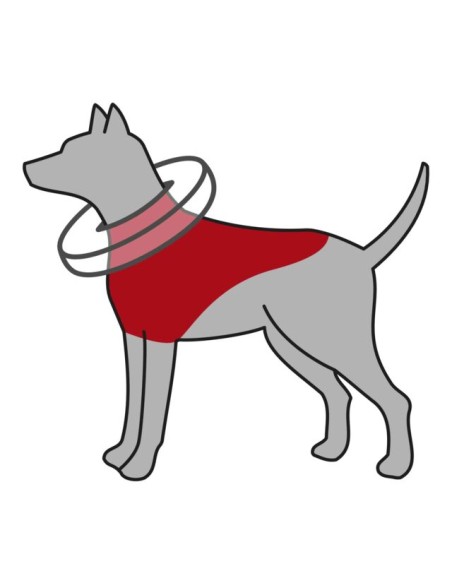 Collare Di Protezione Gonfiabile misura xxsmall.Accessori medicali per cani .