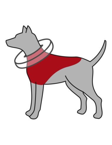 Collare di Protezione Gonfiabile misura large xlarge. Accessori Medicali per cani.