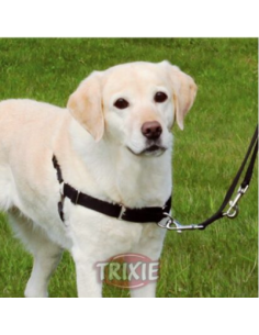 Easy Walk Pettorina Addestramento Misura Media . Collari e Guinzagli per cani