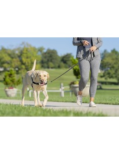 Easy Walk Pettorina Addestramento Misura Media . Collari e Guinzagli per cani 2